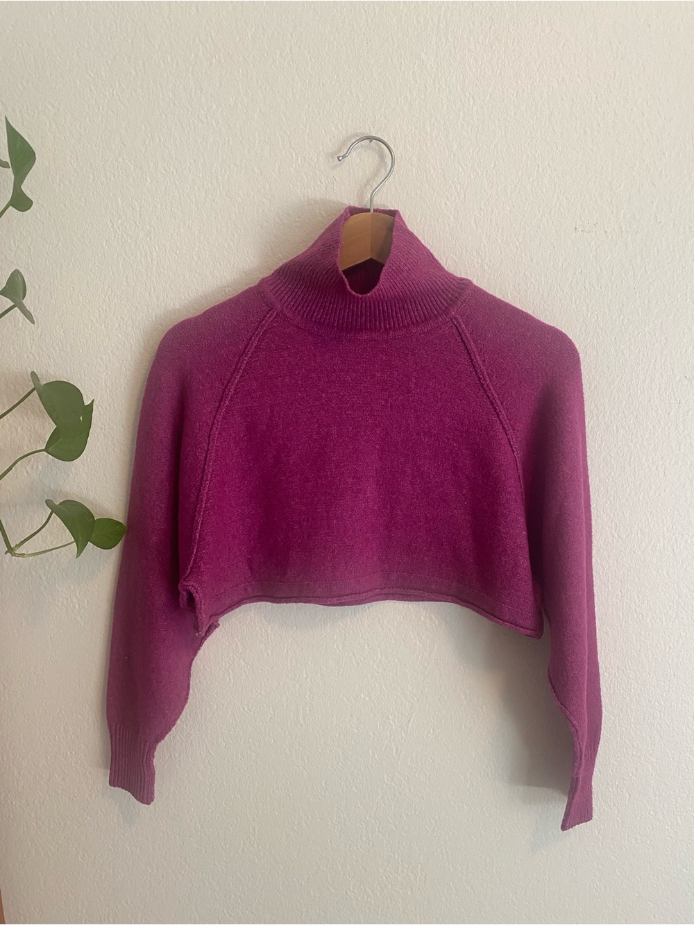 Urban Outfitters Cropped Turtleneck Sweater in Berry